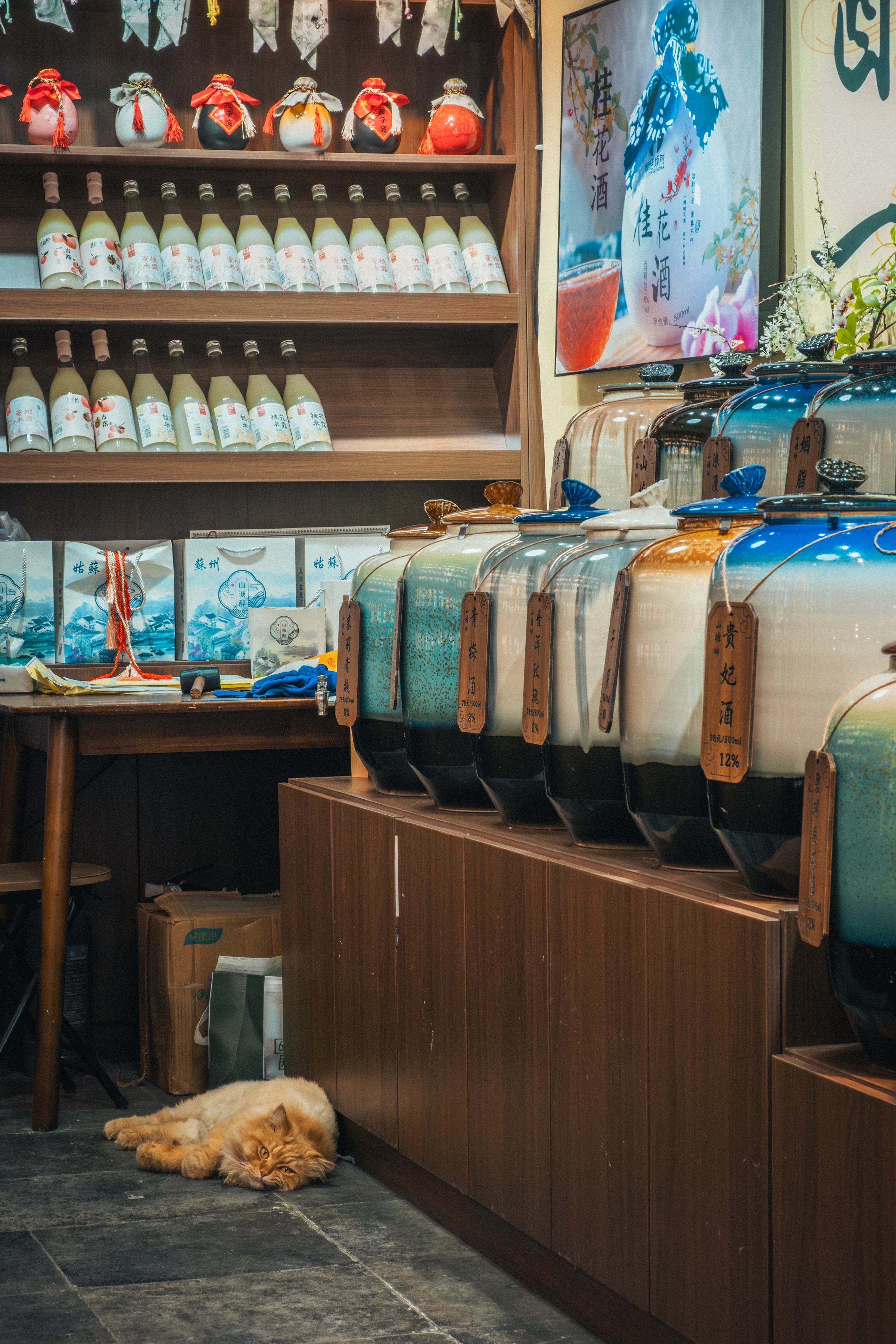 Interior of a Chinese rice alcohol shop, large blue and white jars lined up on the right, orange cat asleep on the floor in the foreground.